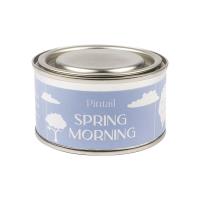 Pintail Candles Spring Morning Paint Pot Candle Extra Image 1 Preview